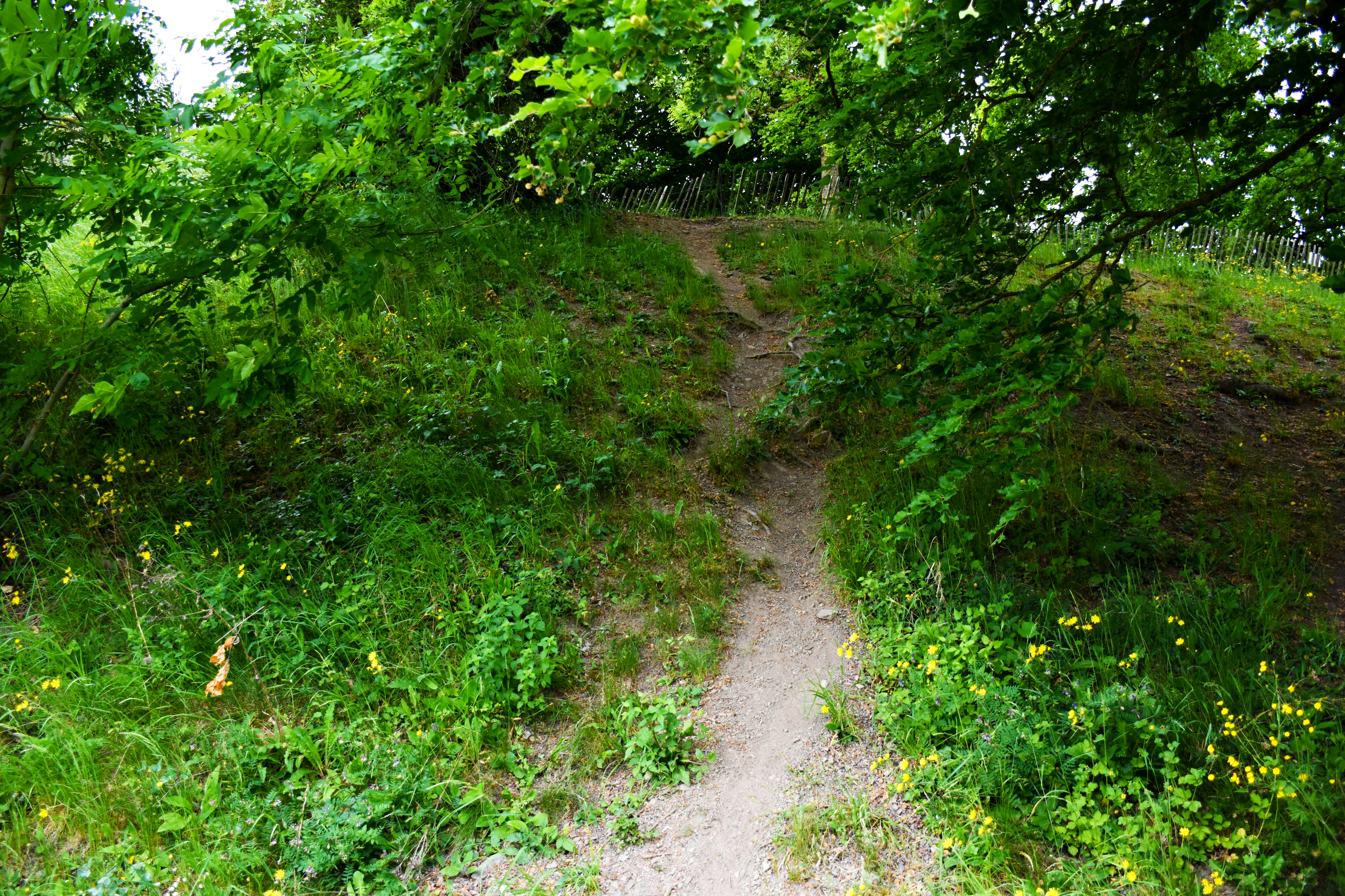 Image marche gourmande & découverte des producteurs