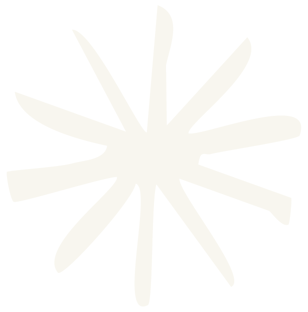 Déco étoile blanche
