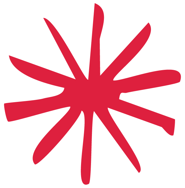 Déco etoile rouge