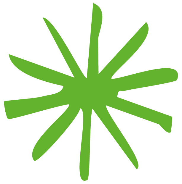 Déco etoile verte